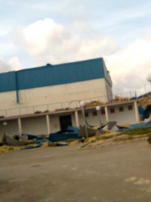 El vendaval en Teba